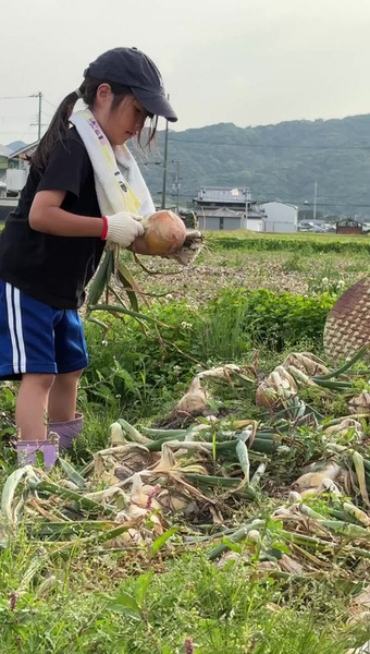 淡路島の玉ねぎ屋さん〜KR.vegetable〜