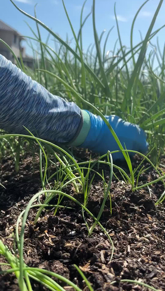 淡路島の玉ねぎ屋さん〜KR.vegetable〜